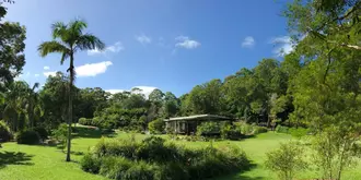 Lily Pad at Byron Bay