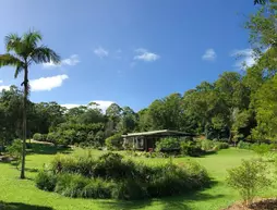 Lily Pad at Byron Bay | New South Wales - Byron Bay (ve civarı) - Skinners Shoot