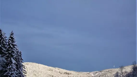 Berghotel Schwarzwaldblick | Baden-Wuerttemberg - Triberg im Schwarzwald