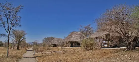 Whistling Thorn Camp | Manyara Bölgesi - Tarangire Ulusal Parkı