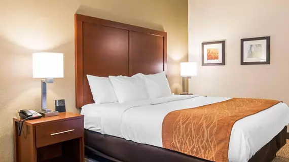 Comfort Inn | Pensilvanya - Gettysburg (ve civarı) - Chambersburg - İskoçya