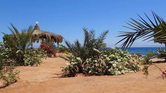 Bedouin Star | Güney Sina (il) - Nuweiba