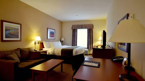 Quality Inn Airport | New Brunswick - Moncton (ve civarı) - Dieppe