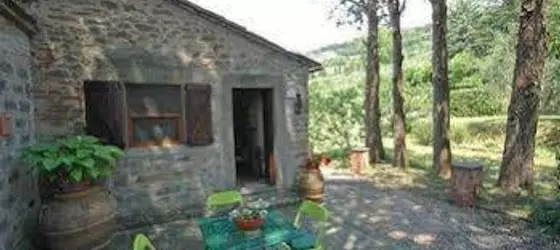 Casina Di Salcotto | Toskana - Arezzo (vilayet) - Cortona