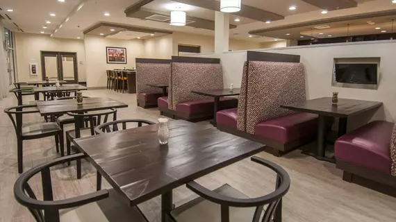 Holiday Inn New Orleans Airport North | Louisiana - New Orleans (ve civarı) - Kenner - Kenner - Louis Armstrong Uluslararası Havalimanı