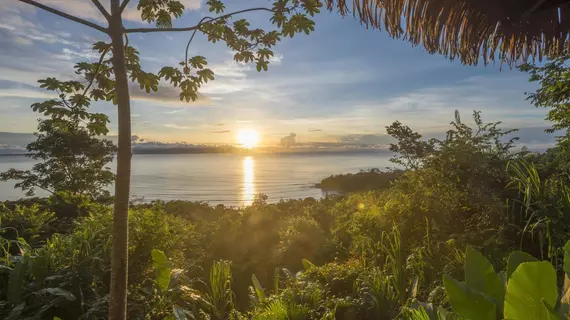 Lapa Rios Eco Lodge | Puntarenas (ili) - Puerto Jimenez