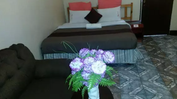 Grace and Gift Guesthouse | Gauteng - City of Tshwane - Johannesburg (ve civarı) - Johanesburg - Johannesburg Şehir Merkezi