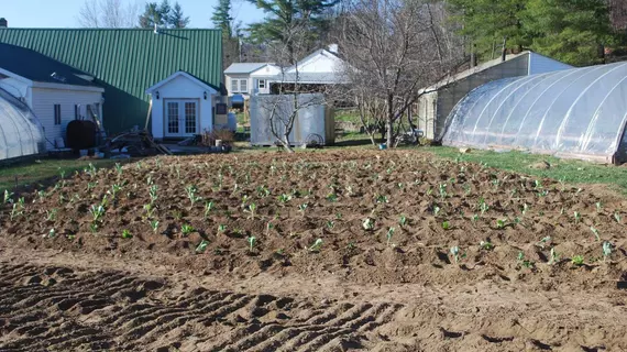 No View Farm | Maine - Rumford (ve civarı) - Rumford