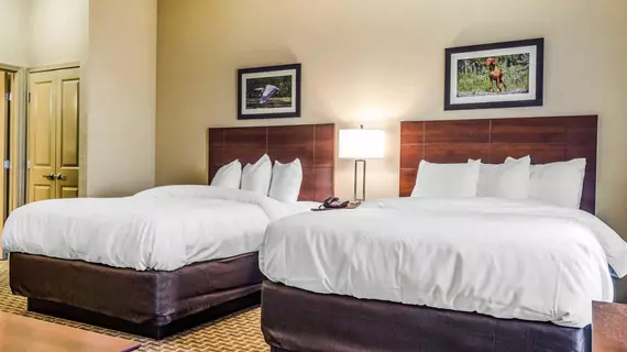 MainStay Suites Hackberry Sportsmans Lodge | Louisiana - Lake Charles (ve civarı) - Hackberry