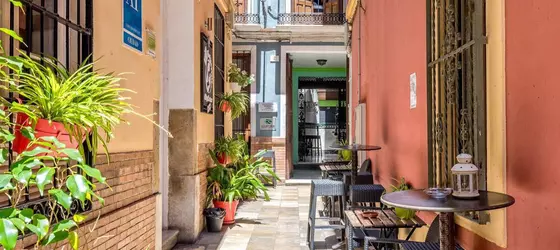 Feel Hostels City Center | Andalucia - Malaga İli - Malaga - Malaga Tarihi Merkezi - Centro