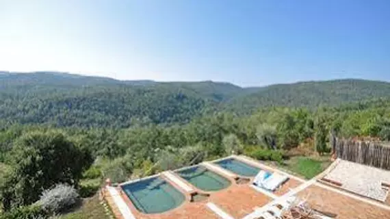 Villa Vittorio | Toskana - Siena (vilayet) - Monticiano