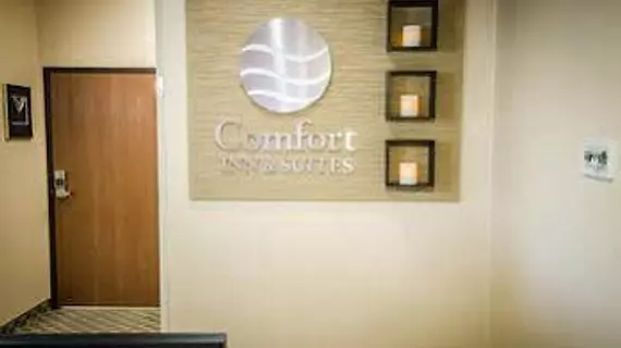 Comfort Inn & Suites | Kentucky - Owensboro (ve civarı) - Rockport