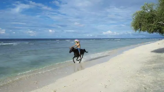 Gili Eco Villas | Batı Nusa Tenggara - Lombok - Gili Trawangan