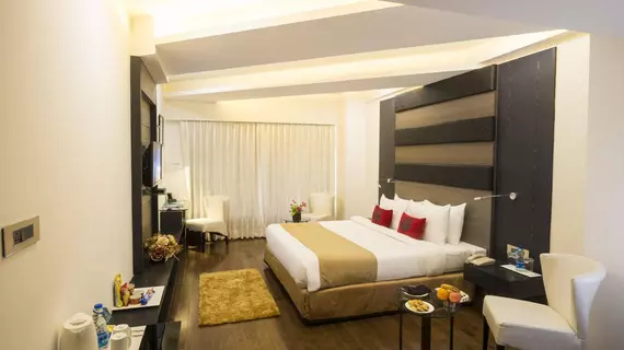 Hotel Turquoise | Pencap - Chandigarh (ve civarı) - Chandigarh