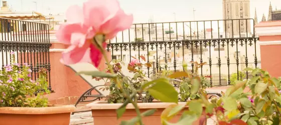 Hotel Alabardero | Andalucia - Seville İli - Sevilla - Casco Antiguo