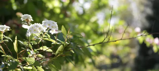 Quinta de Casais | Norte - Viana do Castelo Bölgesi - Paredes de Coura