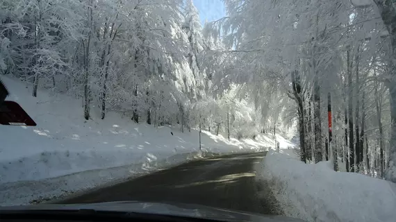 Berghotel Schiller | Baden-Wuerttemberg - Schonach im Schwarzwald