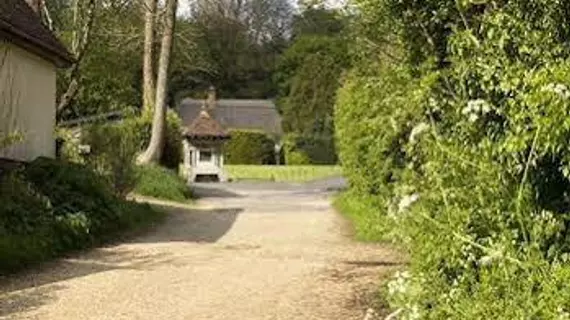 Wisteria Cottage B&B | Wiltshire (kontluk) - Salisbury - Alderbury