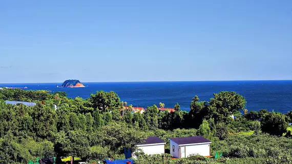 Jeju Inhouse Pension | Jeju Adası - Seogwipo - Seogwipo Şehri