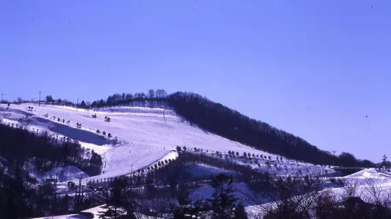 Kyukamura Chausuyama-Kogen | Aichi (idari bölge) - Toyone