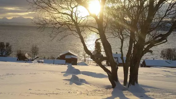 Yggdrasiltunet | Troms (kontluk) - Tromso