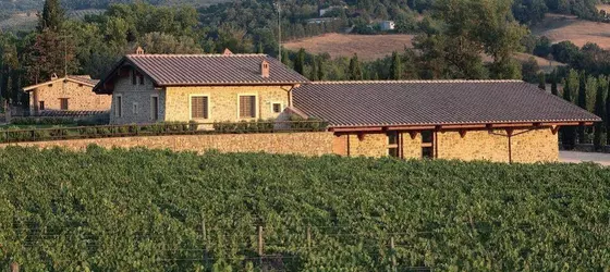 Agriturismo A. Bonacchi | Toskana - Siena (vilayet) - Montalcino