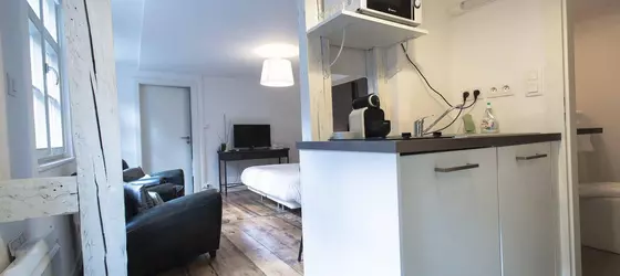 Appartements Orfèvres | Grand Est - Bas-Rhin (bölge) - Strasbourg (ve civarı) - Strazburg - Kent Merkezi - Petite Fransa