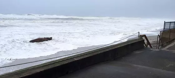 Sandcastle Beachfront Motel | Oregon - Oregon Coast - Lincoln City