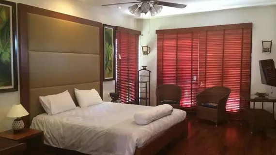 Pearl Paradise Villa Danang | Thua Thien-Hue (vilayet) - Da Nang (ve civarı) - Da Nang