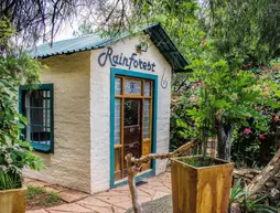 Rainforest Boutique Camp | Gauteng - City of Tshwane - Johannesburg (ve civarı) - Krugersdorp