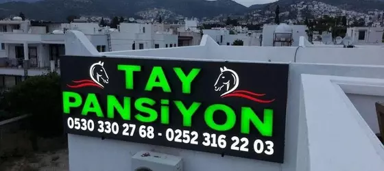 Tay Pansiyon | Muğla - Bodrum - Bodrum Merkezi