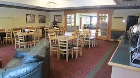 Dollinger's Inn & Suites | New York - Rochester (ve civarı) - Brockport