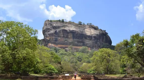 Dambulla City Hostel | Merkez Vilayet - Matale Bölgesi - Dambulla