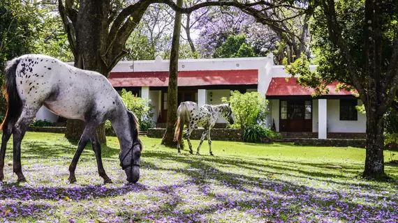 Ngare Sero Mountain Lodge | Arusha Bölgesi - Arusha