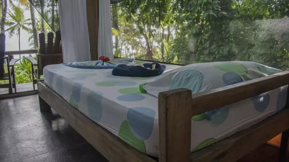 La Leona Eco Lodge | Puntarenas (ili) - Puerto Jimenez