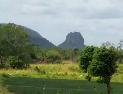 Sigiri Wilderness Resort | Merkez Vilayet - Matale Bölgesi - Sigiriya