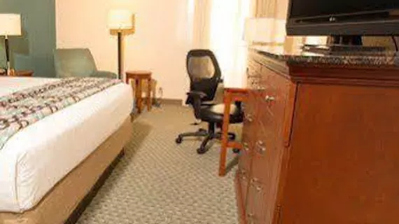 Drury Inn & Suites Houston Hobby Airport | Teksas - Houston (ve civarı) - Houston