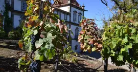 Casa das Torres de Oliveira | Norte - Vila Real Bölgesi - Mesao Frio