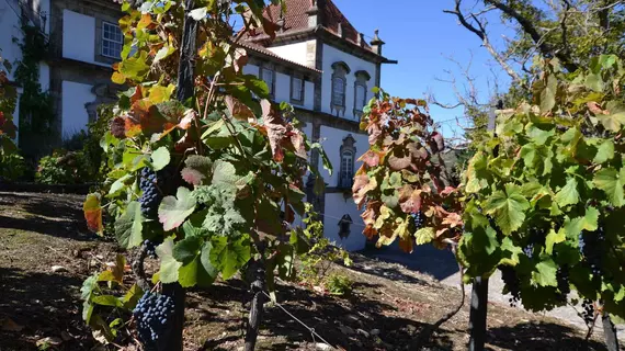 Casa das Torres de Oliveira | Norte - Vila Real Bölgesi - Mesao Frio