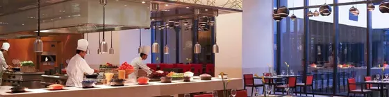 Novotel New Delhi Aerocity | Batı Delhi - Ulusal Eyalet Başkenti Delhi - Delhi (ve civarı) - Yeni Delhi - Güney Batı