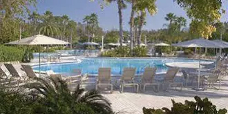 Saddlebrook Resort & Spa