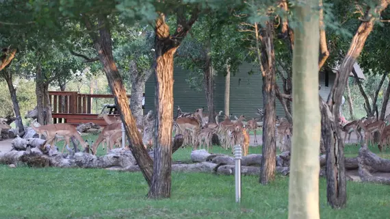 Nkorho Bush Lodge | Mpumalanga - Mbombela - Kruger National Park