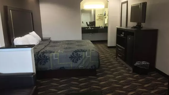 Palace Inn Sam Houston Race Park | Teksas - Houston (ve civarı) - Houston