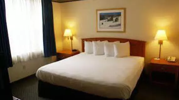 Country Inn & Suites Lansing | Michigan - Lansing (ve civarı) - Lansing