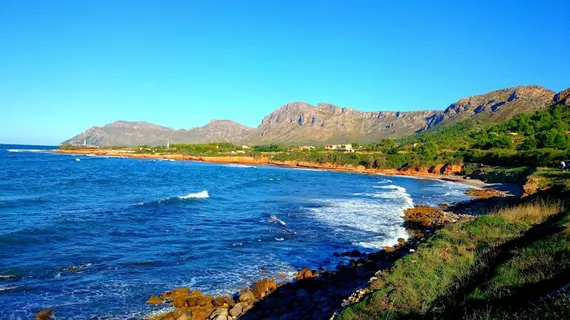 Ses Margalides | Balearic Adaları - Mayorka Adası - Arta