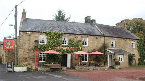 Bay Horse Inn | Northumberland (kontluk) - Hexham