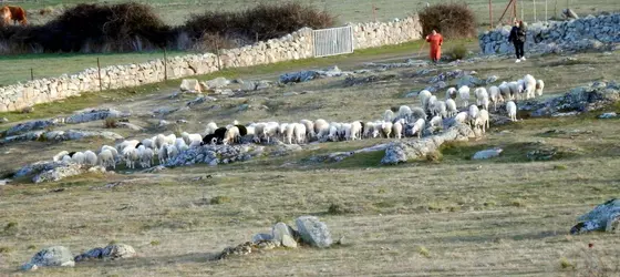 Casa Rural El Dolmen | Kastilya ve Leon - Avila (vilayet) - Avila