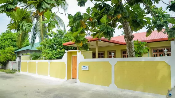 Whale Shark Inn Maldives | Maldivler - Güney Ari Mercan Adası - Maamigili