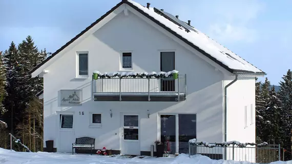 Appart-Hotel Harmonie | Kuzey Ren-Westfalia - Hochsauerlandkreis - Winterberg