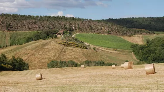 Le Crete Azienda Agraria Agriturismo | Toskana - Siena (vilayet) - Trequanda